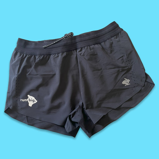 Men's Fuel 'n Fly 3" Running Shorts - Run Big