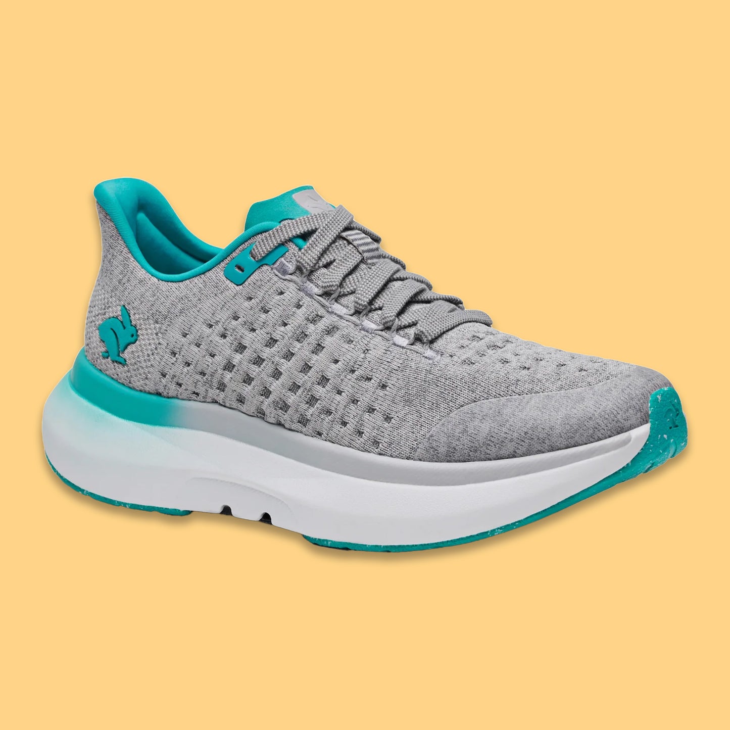 Women's Dream Chaser - Neutral Cushioned Running Shoes